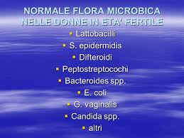 Flora microbica