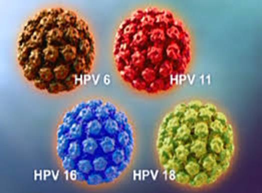 CHE COSA E’ L’HPV? 10 RISPOSTE VELOCI