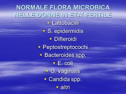 flora microbica vaginale